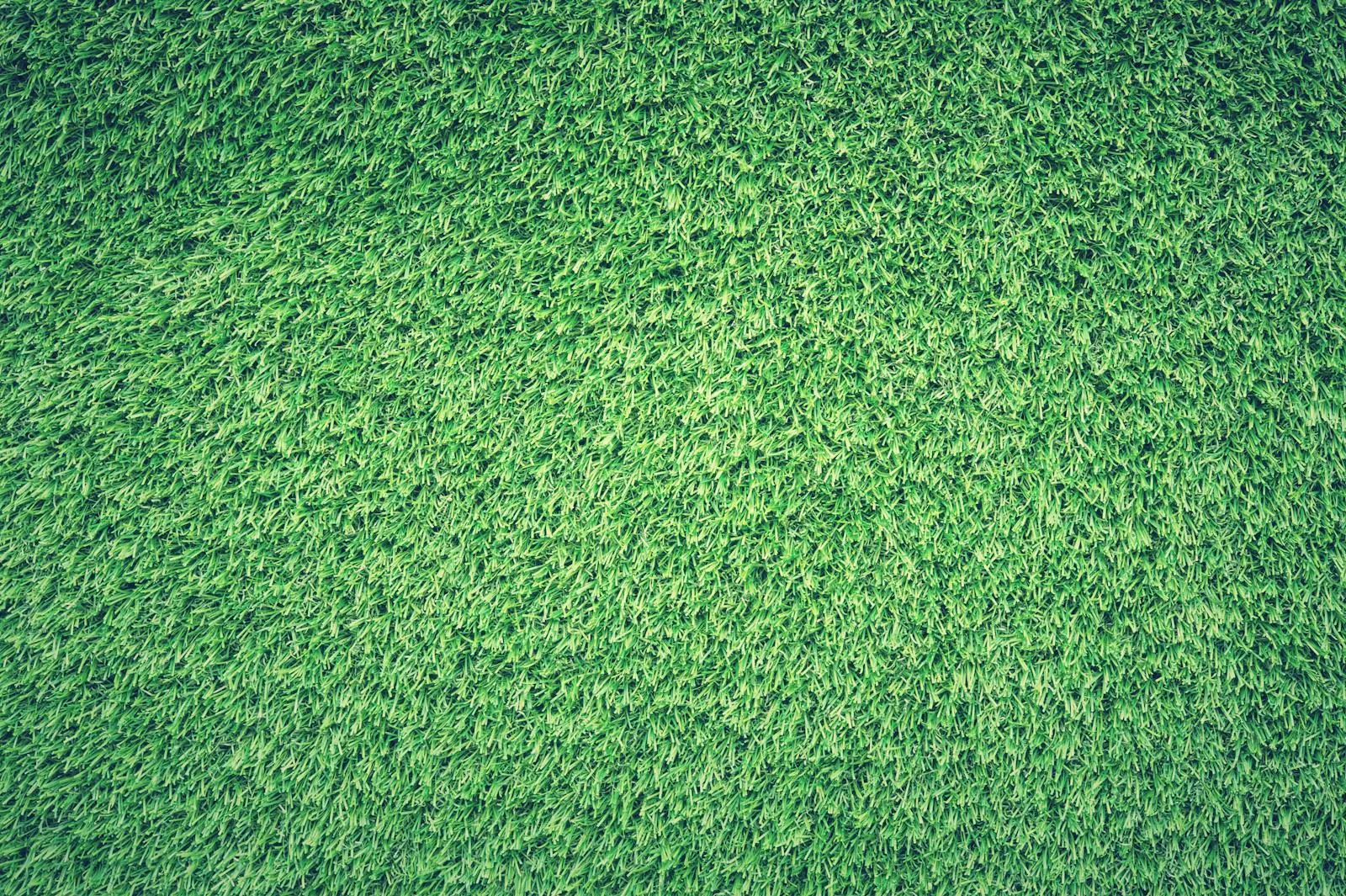 Fresh-cut green grass from above